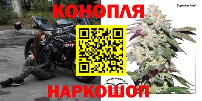 прущие грибы Можайск