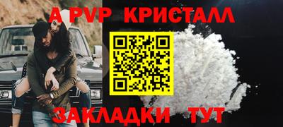 прущие грибы Можайск