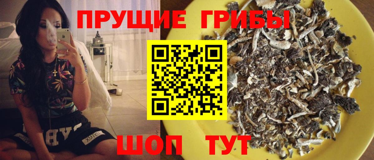Псилоцибиновые грибы ЛСД  Псилоцибиновые грибы MAGIC MUSHROOMS  Хабаровск  Вход с VPN 